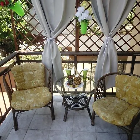 Dimitra's Garden
